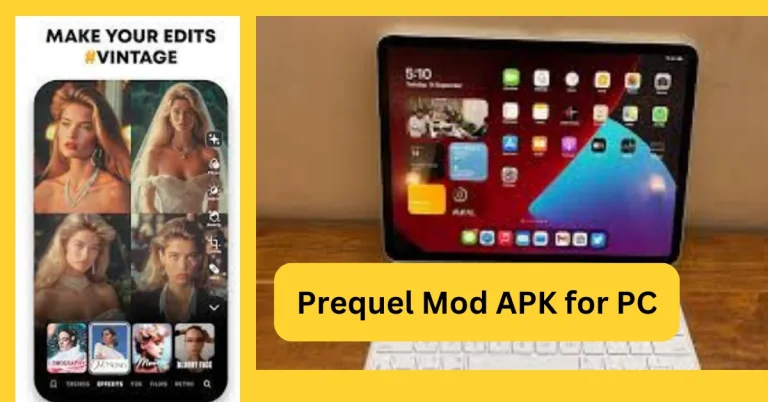 Prequel Mod APK Filter for Photo and Video for PC